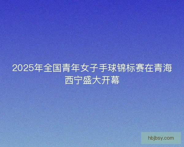 2025年全国青年女子手球锦标赛在青海西宁盛大开幕