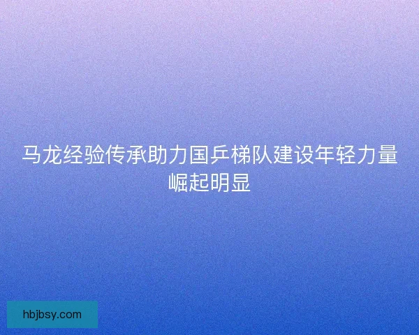 马龙经验传承助力国乒梯队建设年轻力量崛起明显