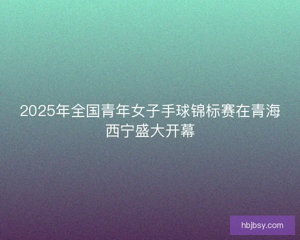 2025年全国青年女子手球锦标赛在青海西宁盛大开幕
